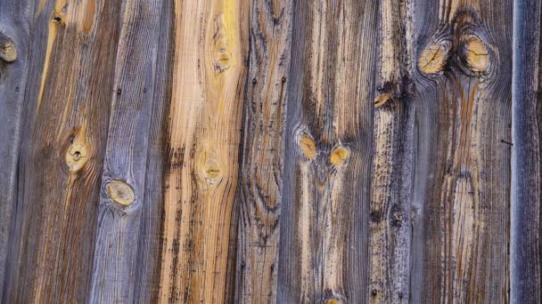 木材背景 旧谷仓板 每年环腐烂的木材 新墨西哥州 — 图库视频影像