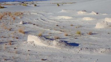 Beyaz alçıtaşı kumlarında kuru çöl bitkileri. New Mexico 'daki White Sands Ulusal Anıtı, Usa