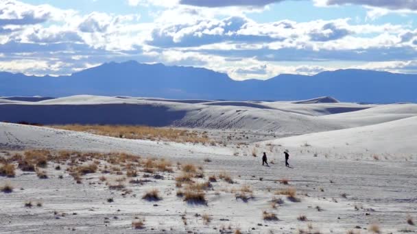 Trockene Wüstenpflanzen Auf Weißem Gipssand Weißer Sand Nationaldenkmal New Mexico — Stockvideo