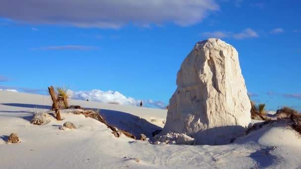Mounds Sádrovec Sand Held Roots Desert Plants White Sands National — Stock video