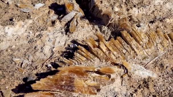 位于亚利桑那州靠近盐湖城的沙漠和新墨西哥州边界的白沙国家公园的粘土中的巨大石英砂晶体 — 图库视频影像
