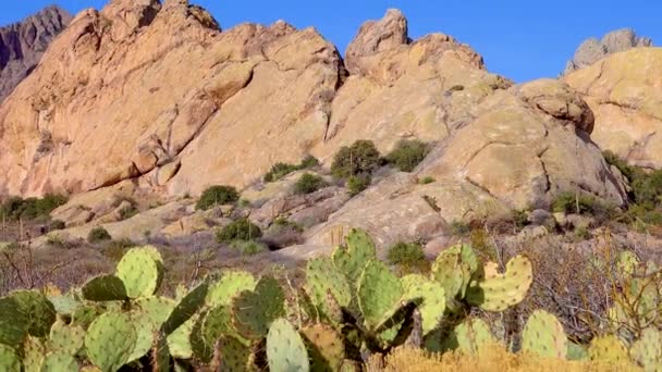 Deserted Mountain Landscape Yucca Cacti Red Cliffs Mountain Landscape Arizona — Stockvideo