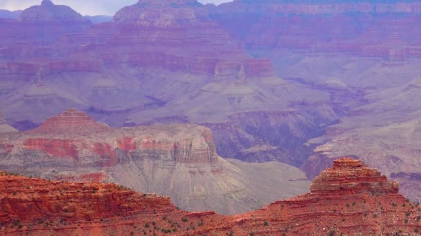 Panorámás Kilátás Nyílik Folyóra Völgy Vörös Sziklák Grand Canyon Nemzeti — Stock videók