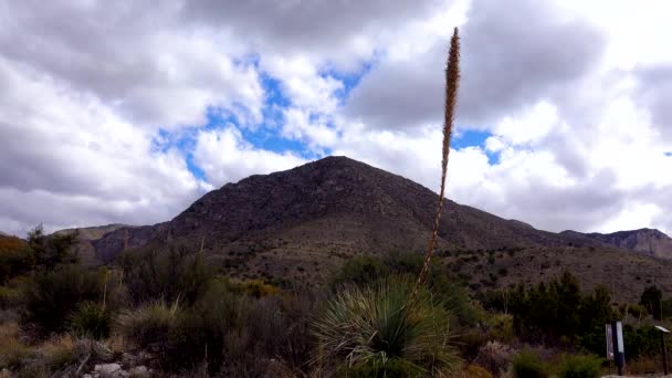 雷の雲と山の背景に捨てられた山の風景 ユッカとサボテン 新商品 Mexico — ストック動画