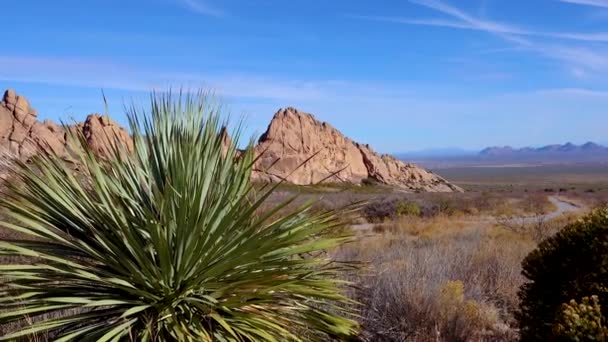 Dezertált Hegyvidéki Táj Yucca Cacti Egy Vörös Sziklák Hegyi Táj — Stock videók