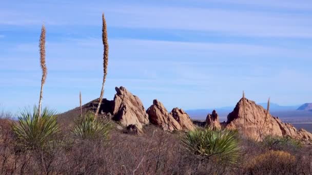 Deserted Mountain Landscape Yucca Cacti Red Cliffs Mountain Landscape Arizona — Stock Video