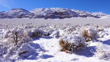 Karla kaplı dağ geçidi, yazın karların altında çöl bitkileri. Ölüm Vadisi Ulusal Parkı, Kaliforniya