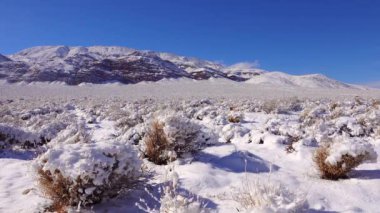 Karla kaplı dağ geçidi, yazın karların altında çöl bitkileri. Ölüm Vadisi Ulusal Parkı, Kaliforniya