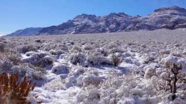 Karla kaplı dağ geçidi, yazın karların altında çöl bitkileri. Ölüm Vadisi Ulusal Parkı, Kaliforniya