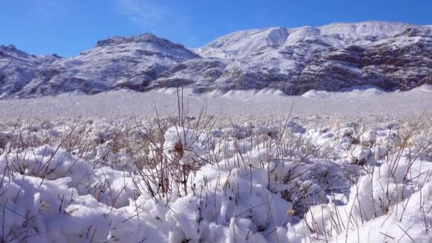 Snow Covered Mountain Pass Desert Plants Snow Summer Death Valley — Video Stock