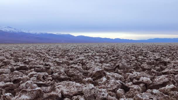 Salt Valley Dirty Cracked Swollen Crystalline Salt Dead Salt Landscape — Stockvideo