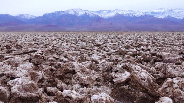 Salt Valley Dirty Cracked Swollen Crystalline Salt Dead Salt Landscape — 图库视频影像