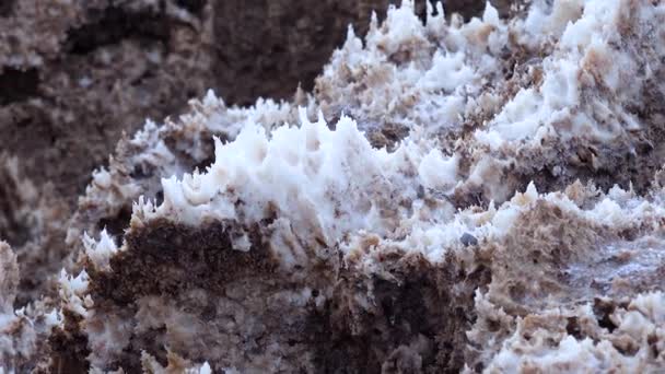 Salt Valley Βρώμικο Ραγισμένο Και Πρησμένο Κρυσταλλικό Αλάτι Νεκρό Τοπίο — Αρχείο Βίντεο