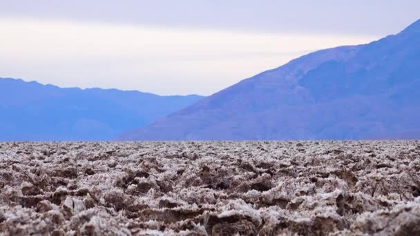 Salt Valley Dirty Cracked Swollen Crystalline Salt Dead Salt Landscape — 图库视频影像