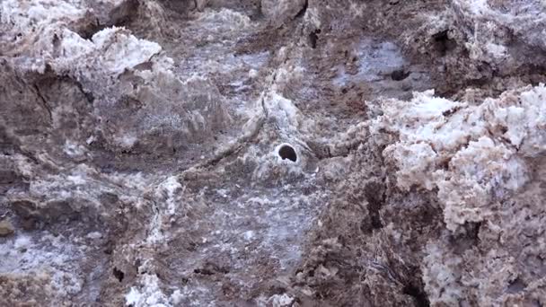 Saltdal Med Smutsigt Sprucken Och Svullen Kristallint Salt Dött Saltlandskap — Stockvideo