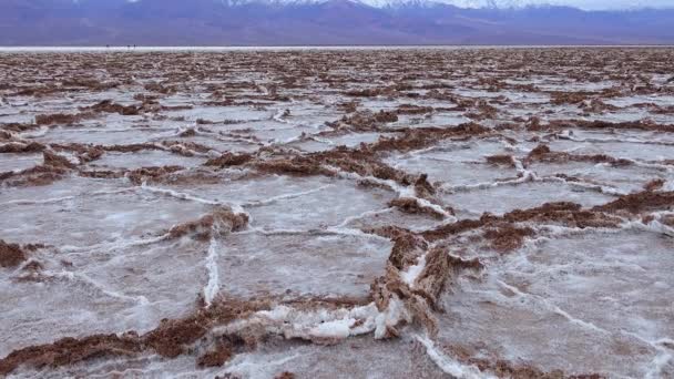 Smooth Salt Valley Cracked Swollen Salt Dead Salt Landscape Death — стоковое видео