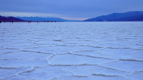 光滑的盐谷 盐分裂缝和膨胀 死的盐景 在死亡谷国家公园 盐与粘土 加利福尼亚州 — 图库视频影像