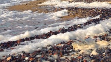 Karadeniz ve Ukrayna 'da şiddetli bir fırtına sırasında kıyıya yakın köpüklü büyük dalgalar
