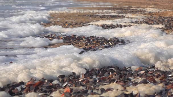 Grandi Onde Con Schiuma Vicino Alla Riva Durante Una Forte — Video Stock