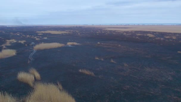 Aerial Shot Black Burnt Floodplains Dniester Wetlands Burnt Reeds Environmental — Stock Video