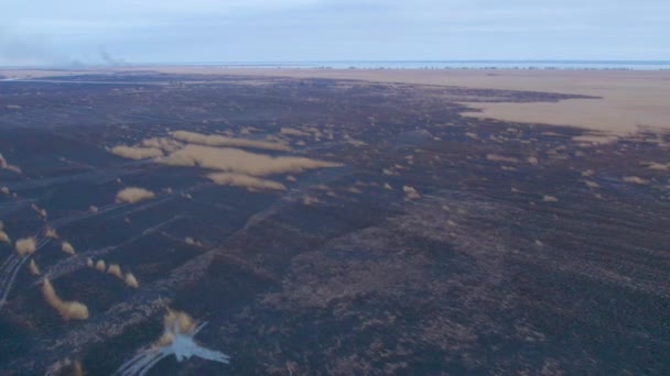 Tir Aérien Plaines Inondables Brûlées Noires Des Zones Humides Dniestr — Video