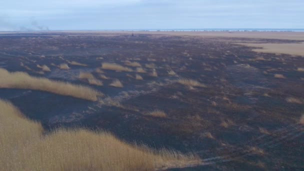 Aerial Shot Black Burnt Floodplains Dniester Wetlands Burnt Reeds Environmental — Stock Video