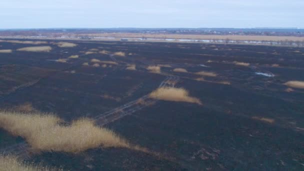 空中射击 乌克兰德涅斯特河湿地被烧毁的黑色洪泛区 被烧毁的芦苇环境问题 — 图库视频影像