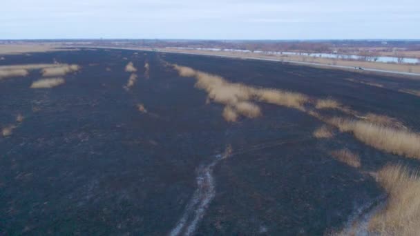 Aerial Shot Black Burnt Floodplains Dniester Wetlands Burnt Reeds Environmental — Stock Video