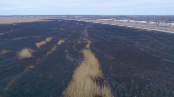 空中射击 乌克兰德涅斯特河湿地被烧毁的黑色洪泛区 被烧毁的芦苇环境问题 — 图库视频影像