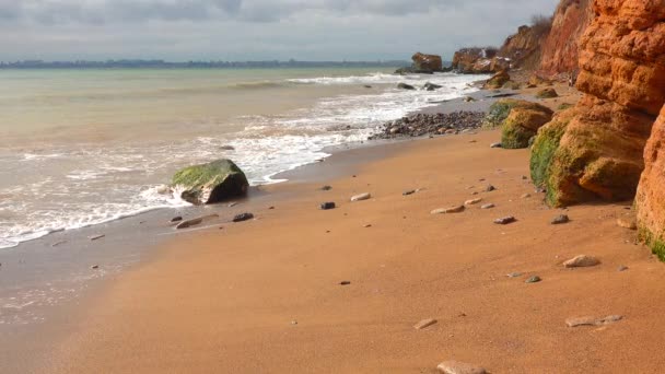 Zeegezicht Golven Van Modderig Zout Water Het Strand Zwarte Zee — Stockvideo