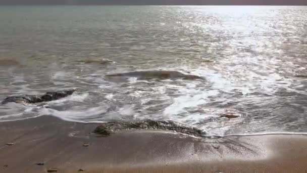 해변에 물에서 밀려오는 표면에서 반사되는 우크라이나 — 비디오