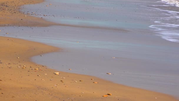Zeegezicht Golven Van Modderig Zout Water Het Strand Zwarte Zee — Stockvideo