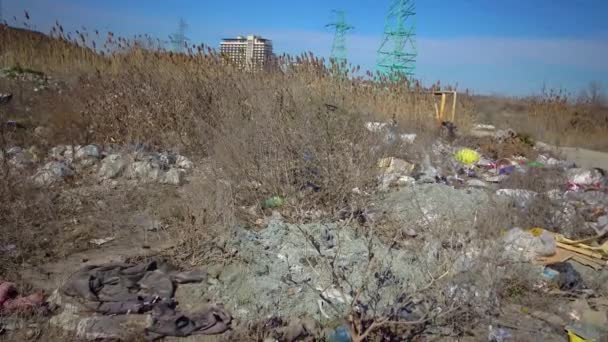 Poluição Natureza Com Lixo Plástico Ecologia Vida Selvagem Impacto Antrópico — Vídeo de Stock