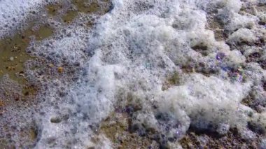Çevresel sorun ve kirlilik, doğal bir rezervuarın ötrofikasyonu, kıyıdaki kirli köpük, Kuyalnik