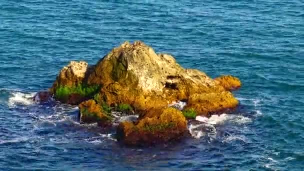 Μικρό Πέτρινο Νησί Στη Θάλασσα Στον Εύξεινο Πόντο Βουλγαρία — Αρχείο Βίντεο