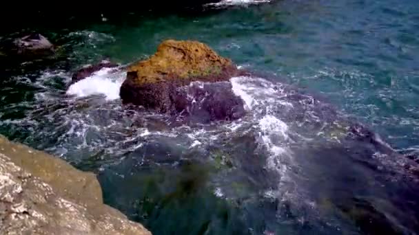 Tyulenovoの村の近くにブルガリアの海の海岸に藻類で生い茂った岩 — ストック動画