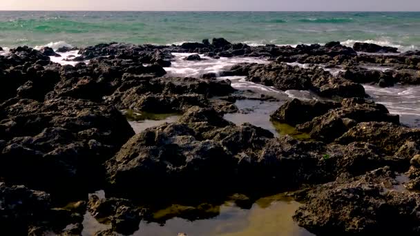 Coastal Erosion Rocks Sea Coast Bulgaria Village Tyulenovo Black Sea — Stock video