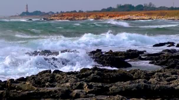 Πετρώματα Διάβρωσης Ακτών Στις Ακτές Της Βουλγαρίας Κοντά Στο Χωριό — Αρχείο Βίντεο