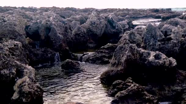 Coastal Erosion Rocks Sea Coast Bulgaria Village Tyulenovo Black Sea — Stock video