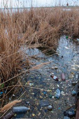 Çevre sorunu, çöp. Kirlenme enkaz ve plastik doğal rezervuarlar.
