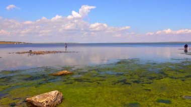 UKRAINE, ODESSA REGION - 19 Eylül 2021: Balıkçılar bir tuz halkasının suyunda duruyor ve tekir, Tiligulsky haliçleri, Karadeniz