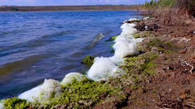 Çevresel sorun ve kirlilik, doğal bir rezervuarın ötrofikasyonu, kıyıdaki kirli köpük