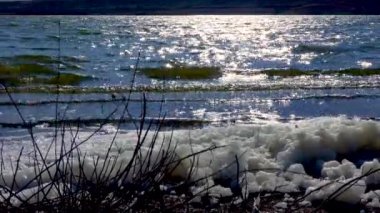 Çevresel sorun ve kirlilik, doğal bir rezervuarın ötrofikasyonu, kıyıdaki kirli köpük