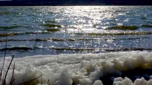 Umweltprobleme Und Umweltverschmutzung Eutrophierung Eines Natürlichen Reservoirs Schmutziger Schaum Ufer — Stockvideo