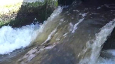 Su kirliliği. Tedavi tesislerinden akan kirli su bir borudan geçerek kapalı bir nehir ya da göle akar. Denizin ekolojisi, hayvanları öldürür. Ukrayna