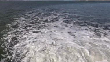 Su kirliliği. Tedavi tesislerinden akan kirli su bir borudan geçerek kapalı bir nehir ya da göle akar. Denizin ekolojisi, hayvanları öldürür. Ukrayna