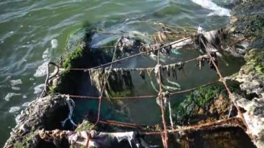 Plastik çöp, deniz ekolojisi. Kıyılarda çürüyen polietilen çöpleri ve suda yüzen ve denizi kirleten, hayvanları öldüren. Ukrayna