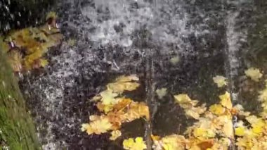 Ukrayna, Uman - 19 Ekim 2019: Venery, Sofievsky Park, Uman, Ukrayna heykeli ile Fetydyi Grotto