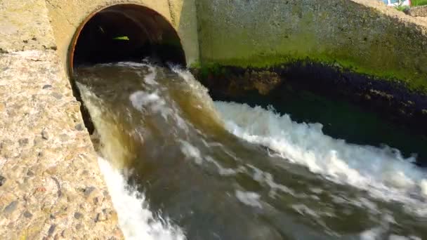 Грязная Плохо Очищенная Вода Очистных Сооружений Поступает Природный Резервуар Устье — стоковое видео