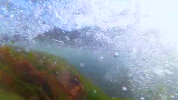 Alghe Rosse Verdi Largo Della Costa Durante Una Tempesta Nel — Video Stock